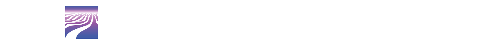Артполе